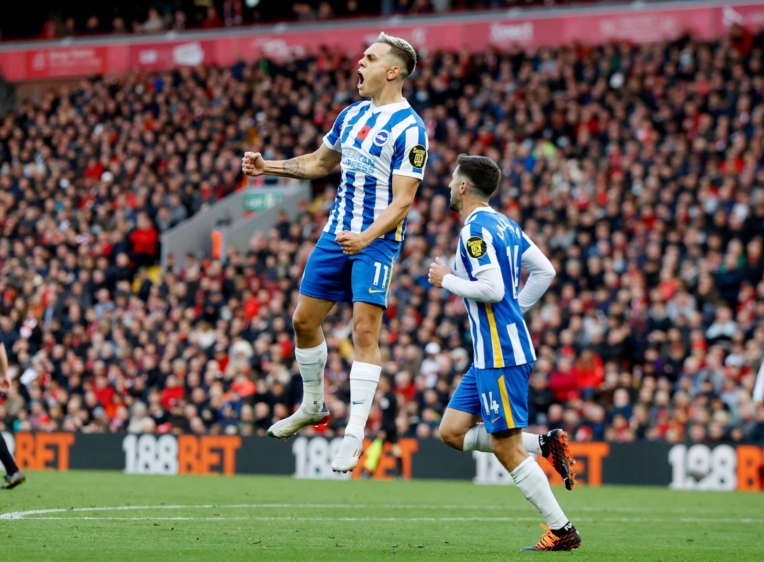 公开支持伊 公开支持伊