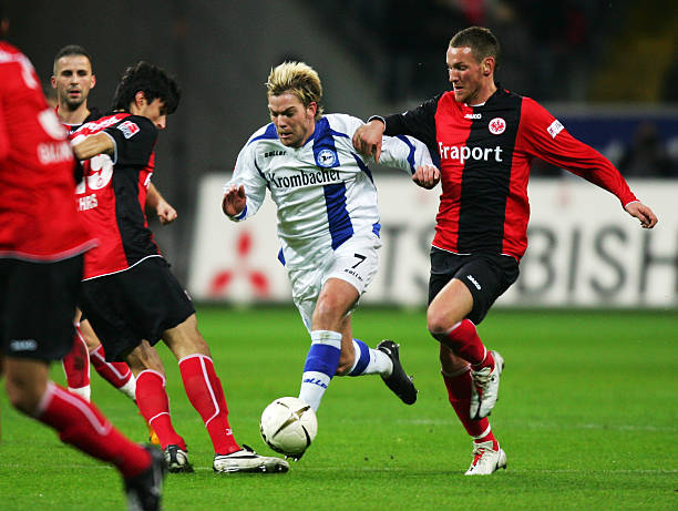 无疑将在提 无疑将在提